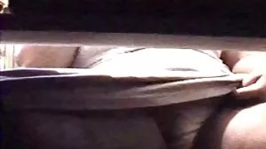 Ice La fox