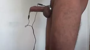 Kelly Shibari